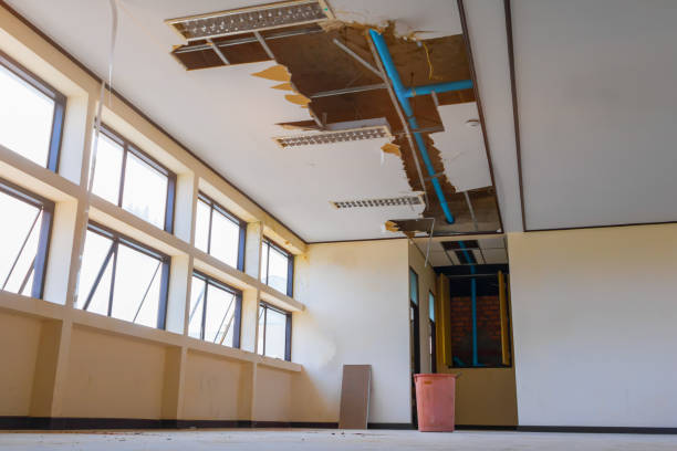 Best Local water damage restoration  in Carthage, IL