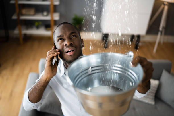 Best Basement water damage restoration  in Carthage, IL