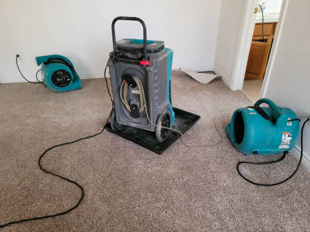 Best Flood restoration services  in Carthage, IL