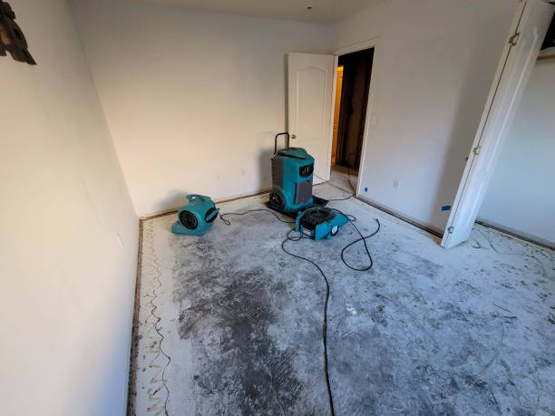 Best Emergency water extraction  in Carthage, IL