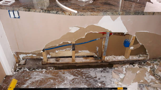 Best Flooded house restoration  in Carthage, IL