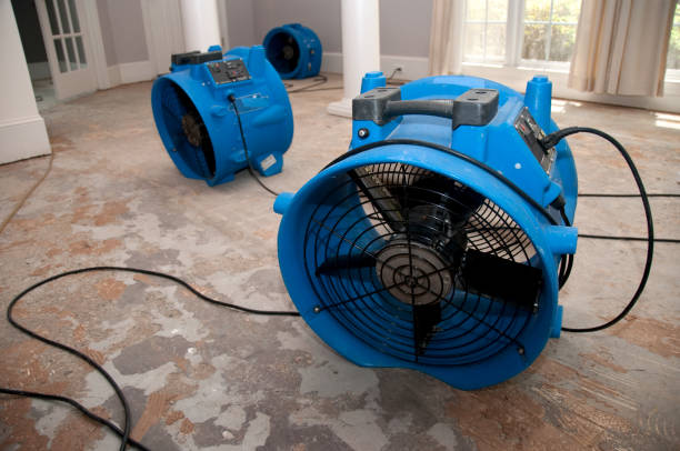 Best Ceiling water damage repair  in Carthage, IL