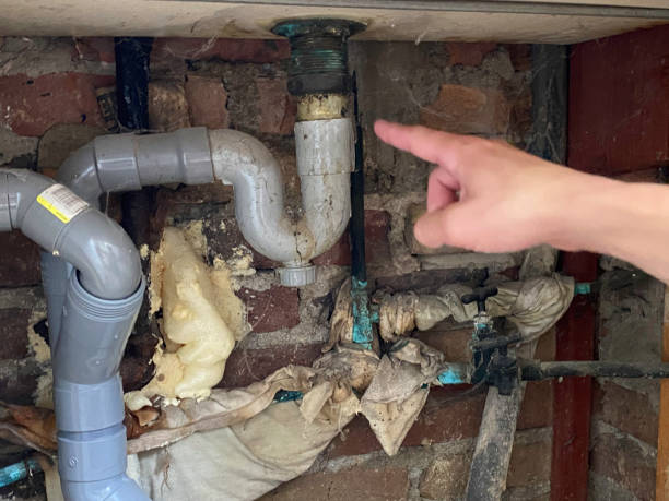 Best Water damage restoration near me  in Carthage, IL