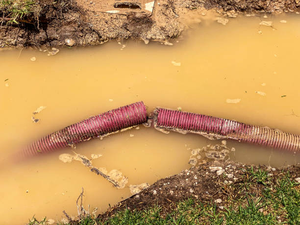 Best Water damage restoration process  in Carthage, IL