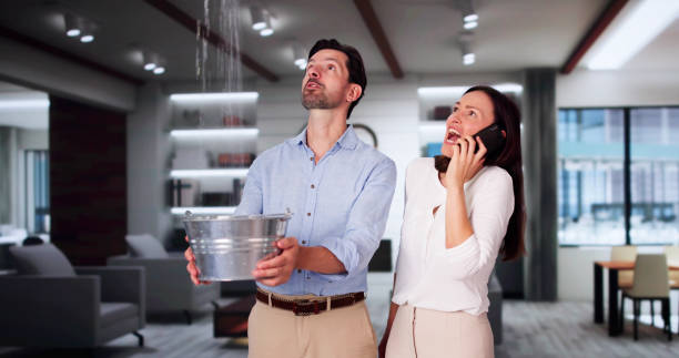 Best Mold removal after water damage  in Carthage, IL